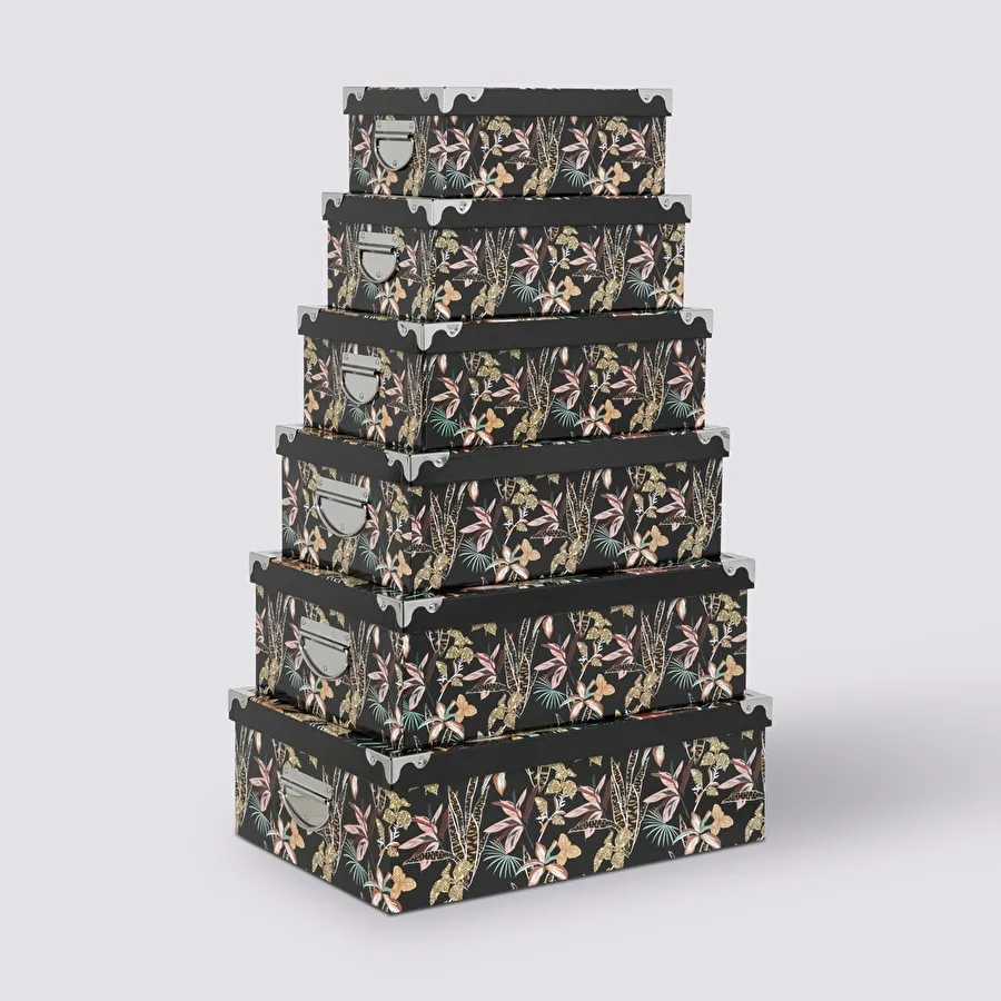 6 boîtes coins, Jungle