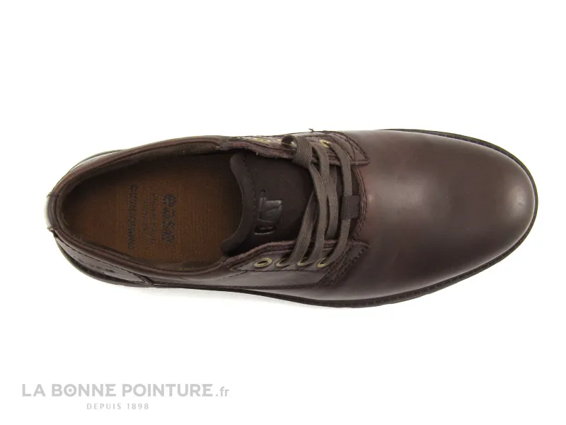 Caterpillar Men's City/Work Shoes, CAT WRY Coffee Bean P721808 - Low Shoe