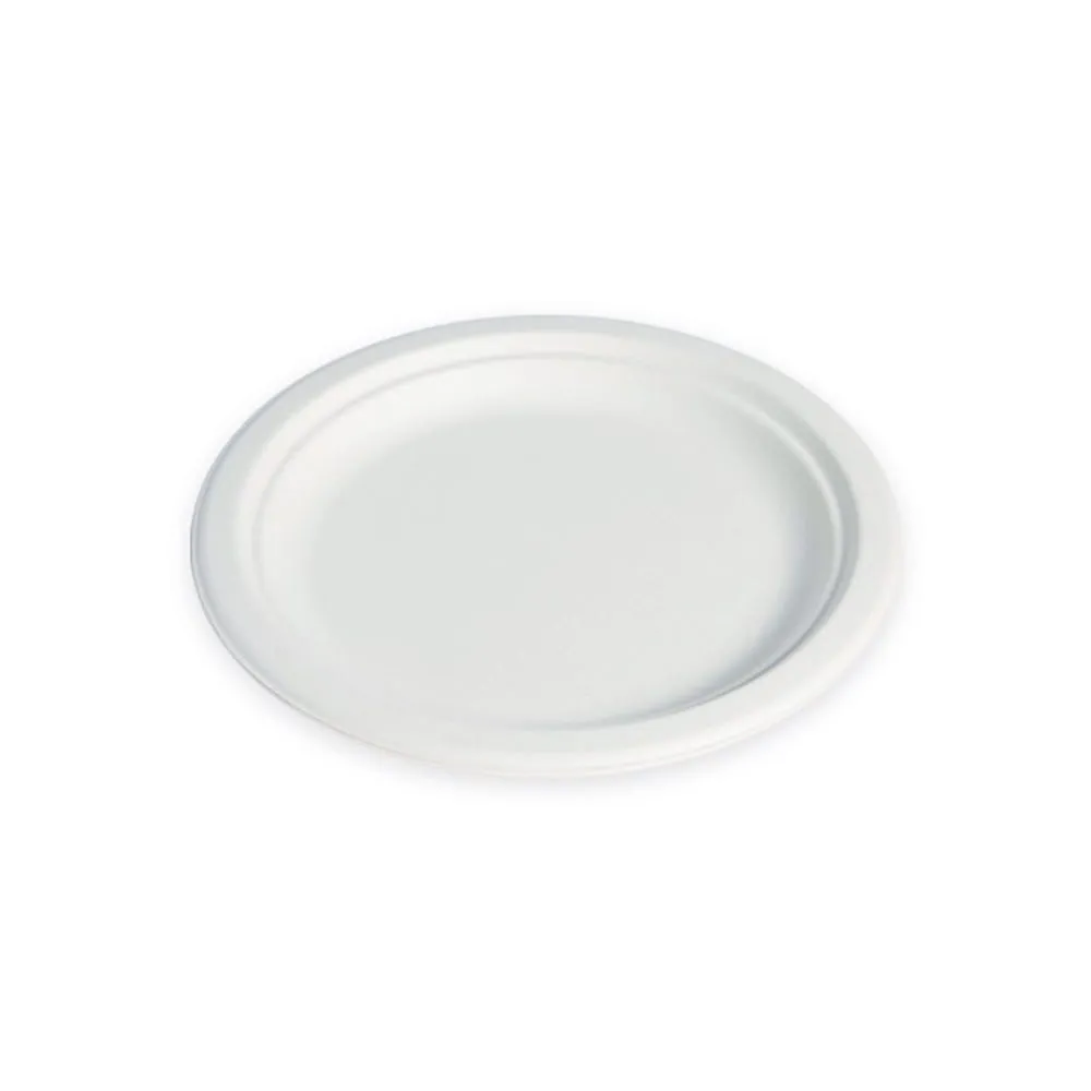 Assiette pulpe ronde blanche Ø160mm h10mm 6pcs