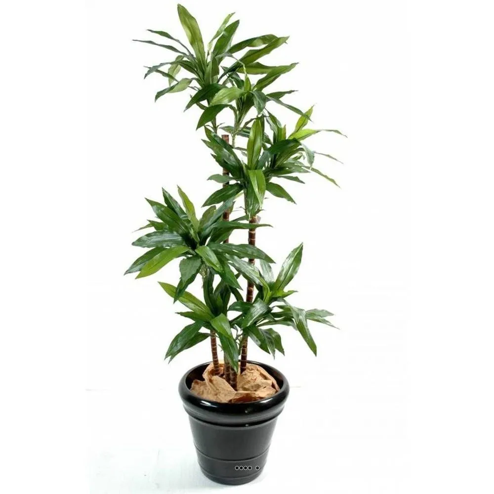 Dracaena artificiel 3 troncs en bois naturel en pot h145cm vert