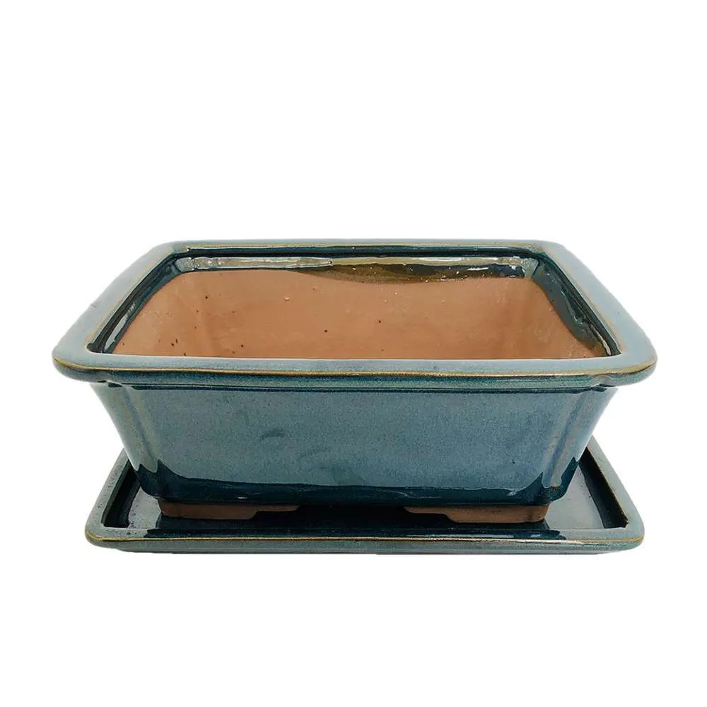 Poterie bonsaï + soucoupe, en terre cuite émaillée L. 25,6 x l. 20,2cm